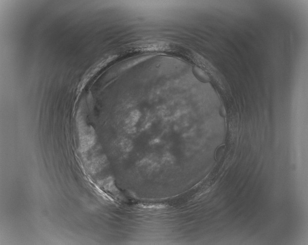 X0000079280721200612011657