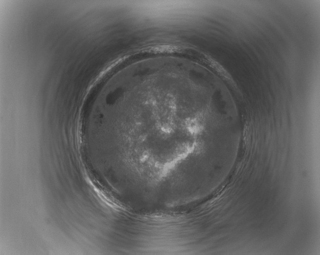 X0000079280722200612011657