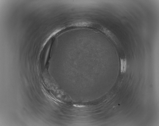 X0000079280723200612011657