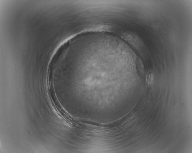 X0000079280724200612011657