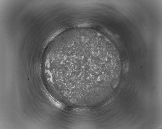 X0000079280725200612011657