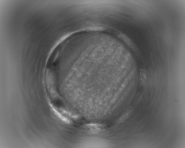 X0000079280726200612011657