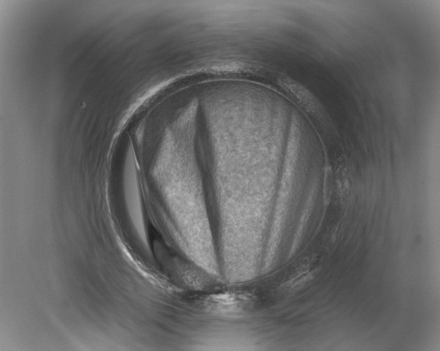 X0000079280728200612011657