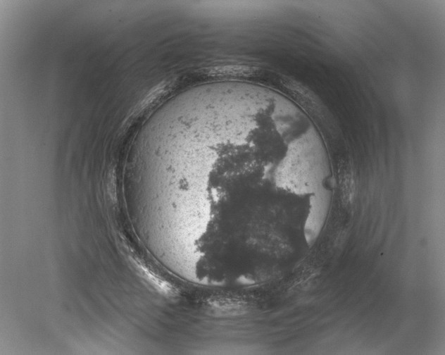 X0000079280729200612011657