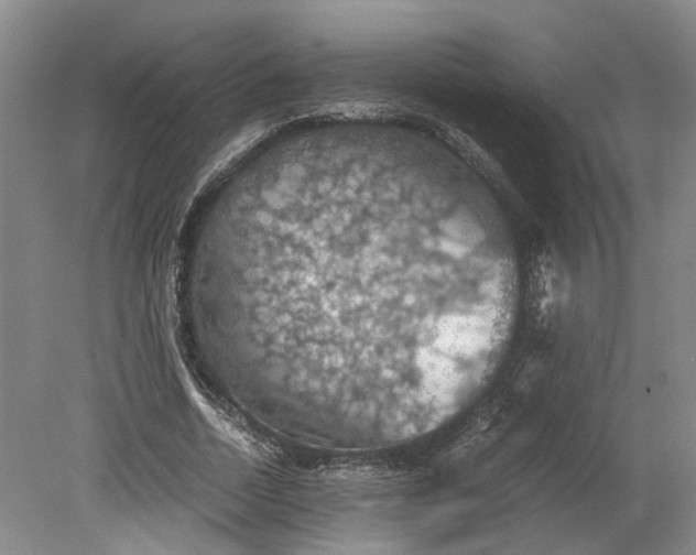 X0000079280730200612011657