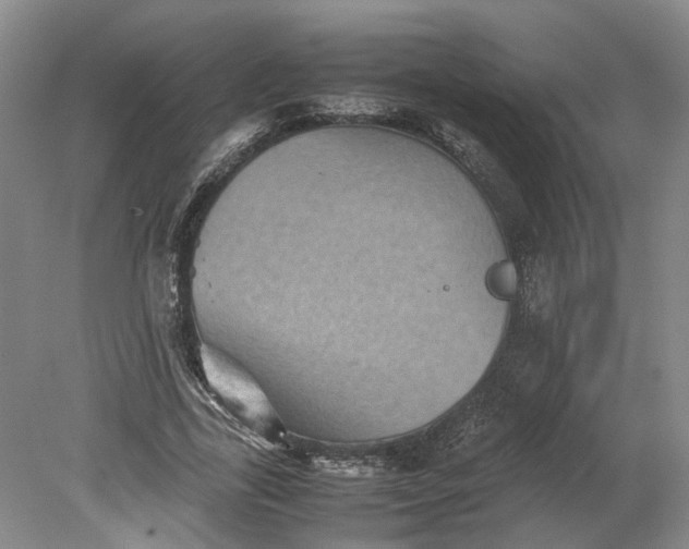 X0000079280731200612011657