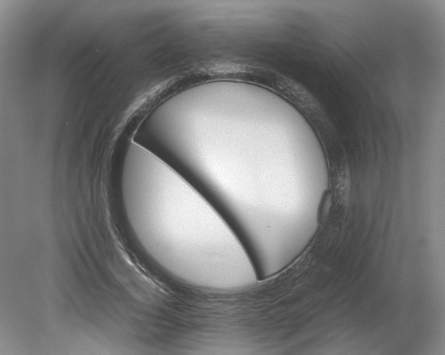 X0000079280732200612011657