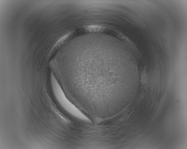 X0000079280733200612011657