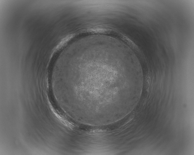 X0000079280734200612011657