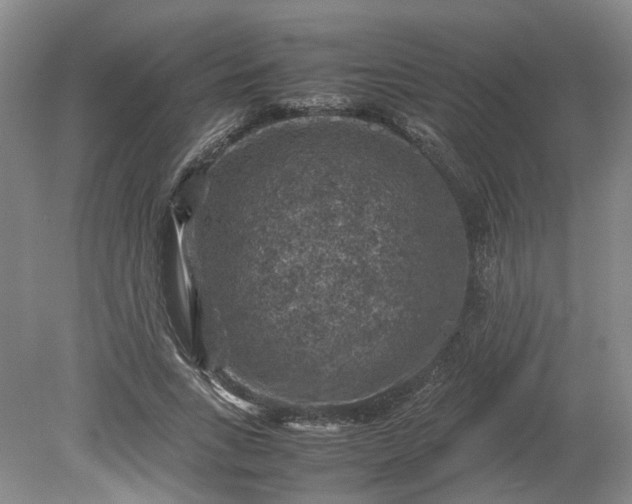 X0000079280735200612011657