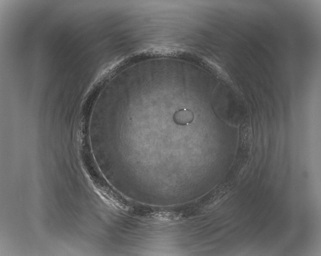 X0000079280736200612011657