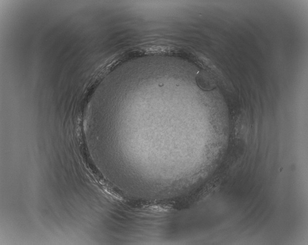 X0000079280737200612011657