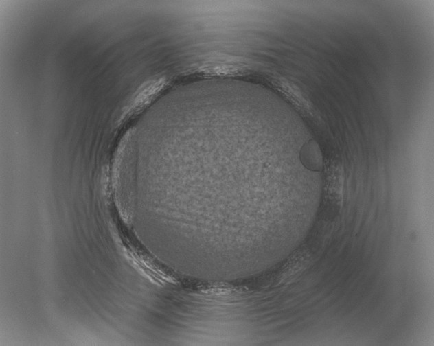 X0000079280738200612011657