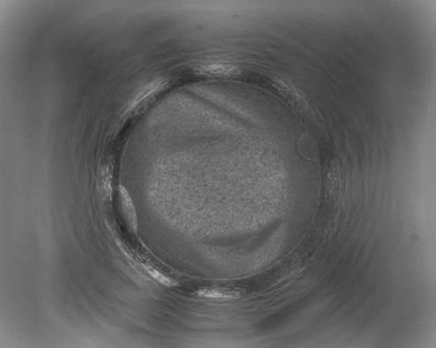 X0000079280739200612011657