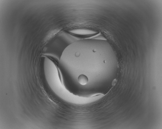 X0000079280740200612011657