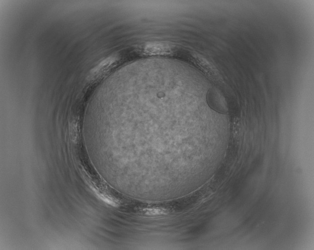 X0000079280741200612011657