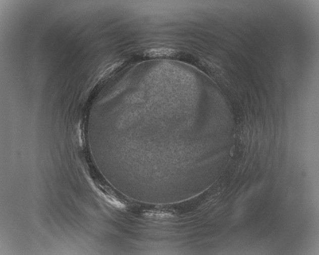 X0000079280743200612011657