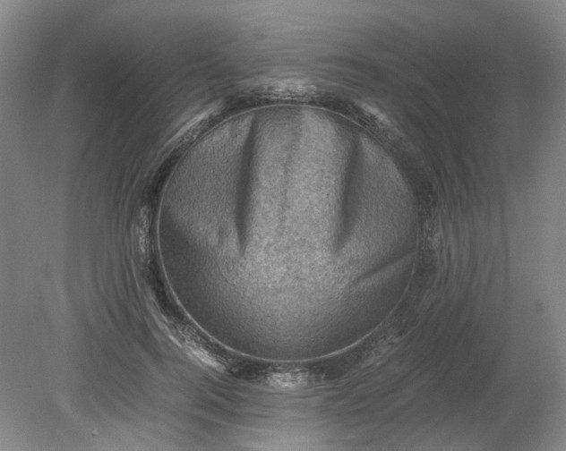 X0000079280744200612011657