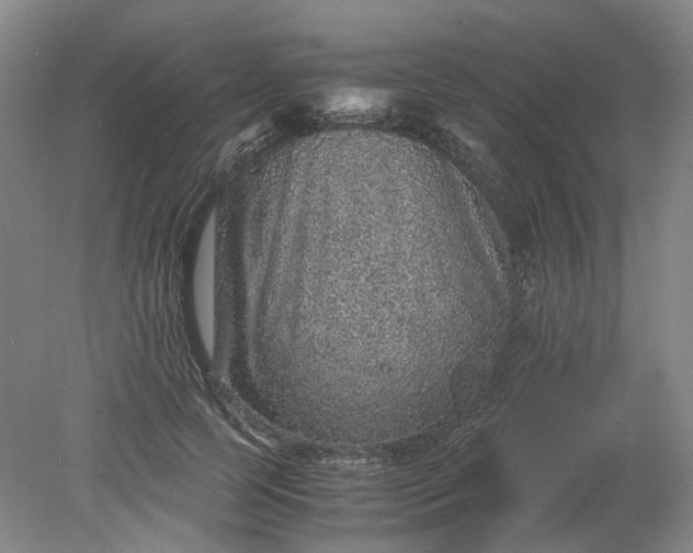 X0000079280745200612011657