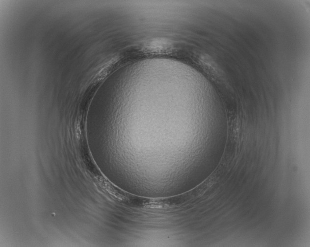 X0000079280746200612011658