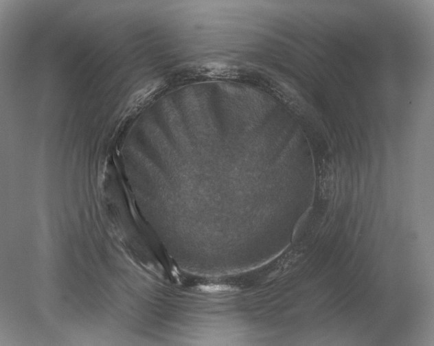 X0000079280748200612011658