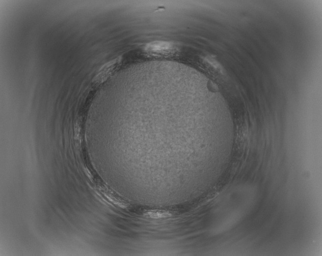 X0000079280749200612011658