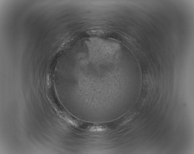 X0000079280751200612011658