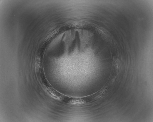 X0000079280752200612011658