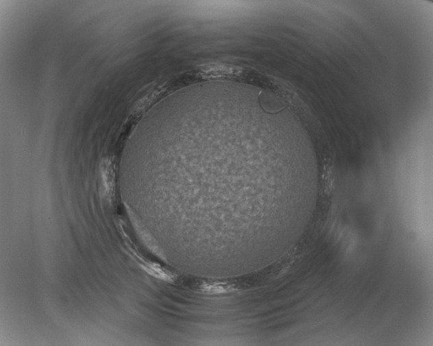 X0000079280753200612011658