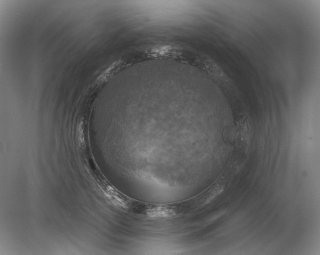 X0000079280754200612011658