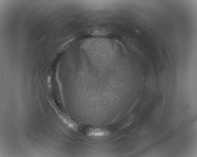 X0000079280755200612011658