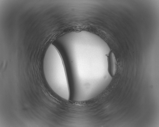 X0000079280756200612011658