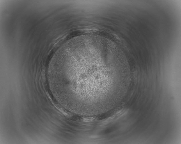 X0000079280757200612011658