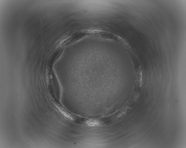 X0000079280762200612011658