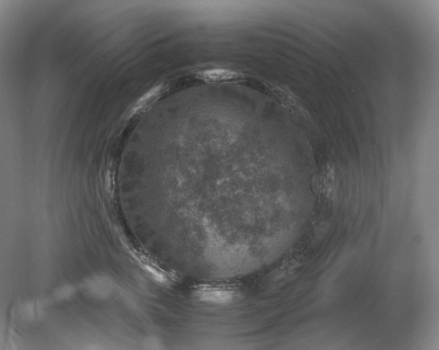 X0000079280763200612011658