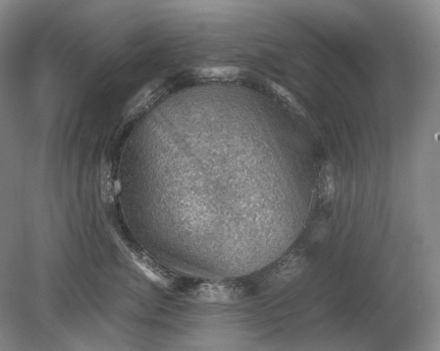 X0000079280764200612011658