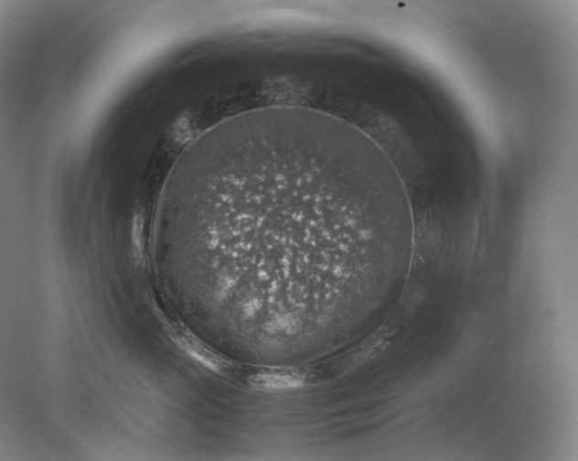 X0000079280765200612011658