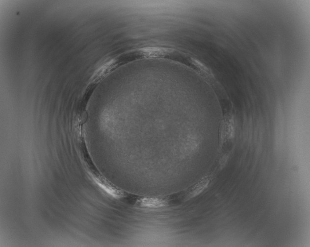 X0000079280766200612011658