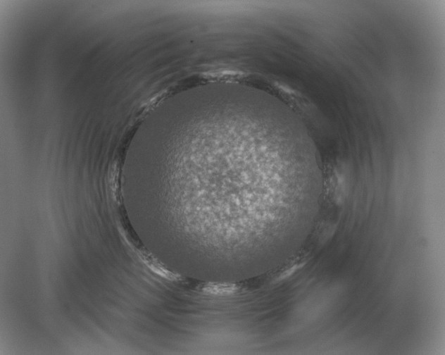 X0000079280767200612011658