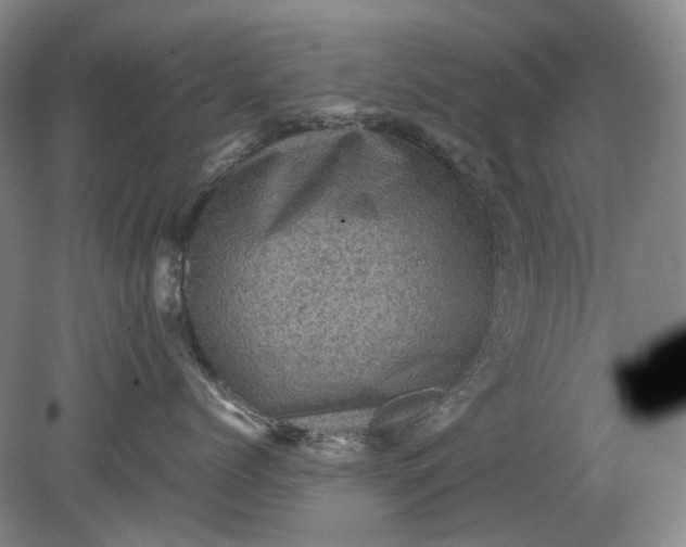 X0000079280768200612011658