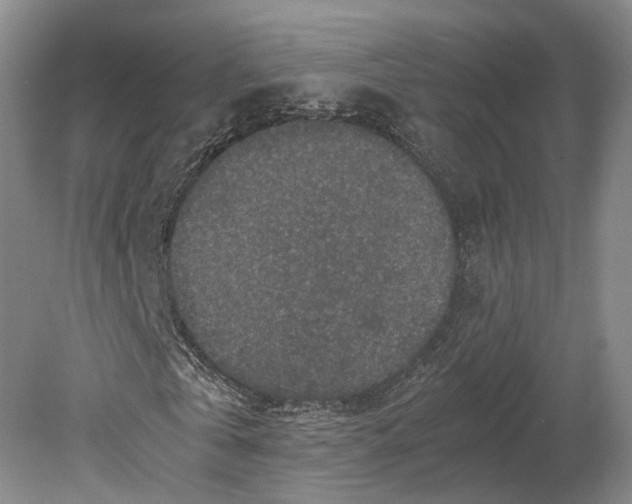 X0000079280769200612011657