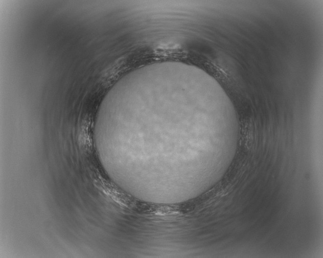 X0000079280770200612011657