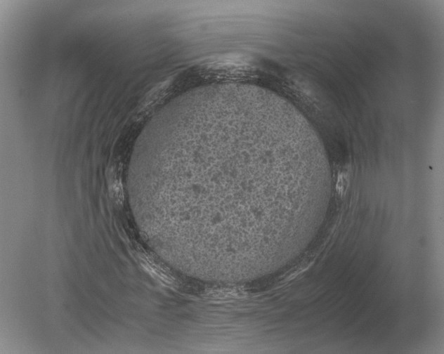 X0000079280771200612011657