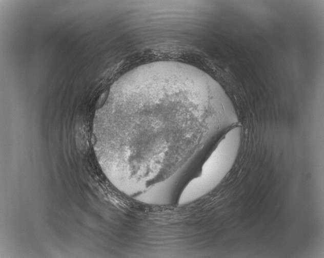 X0000079280772200612011657