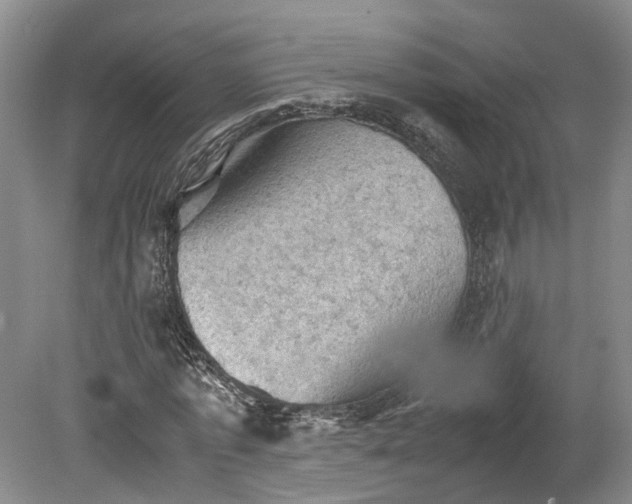 X0000079280773200612011657