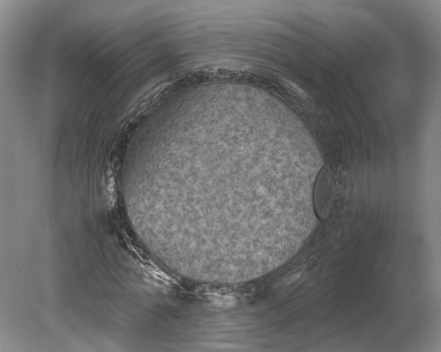 X0000079280774200612011657