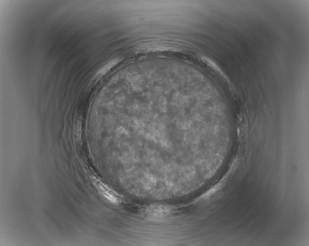 X0000079280777200612011657