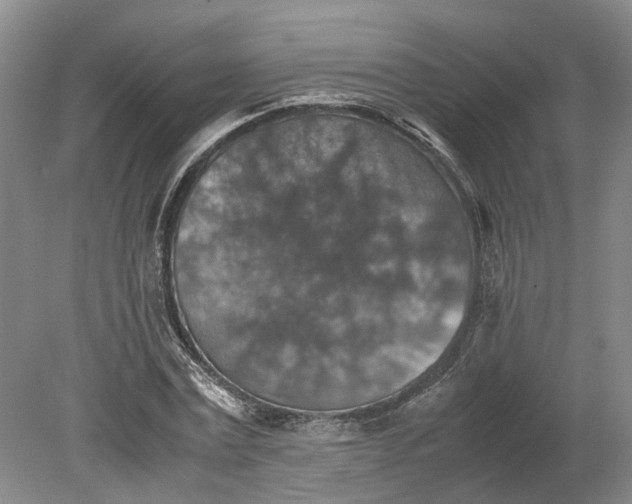 X0000079280779200612011657