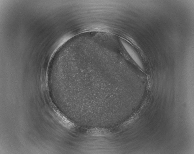 X0000079280780200612011657