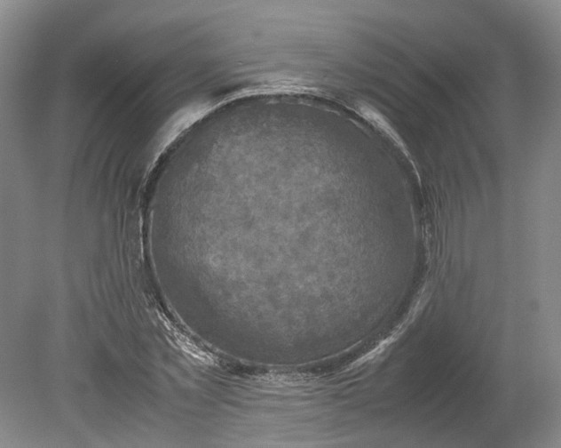 X0000079280781200612011657